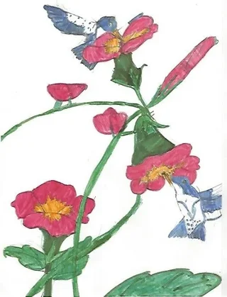 A student's drawing of flowers and birds