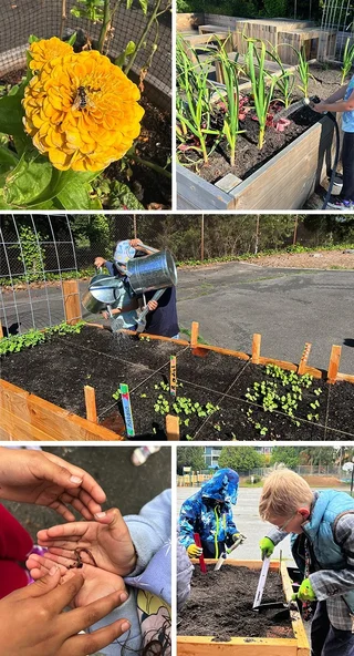 Students in the school learning garden